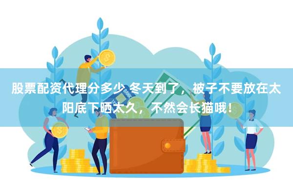 股票配资代理分多少 冬天到了，被子不要放在太阳底下晒太久，不然会长猫哦！