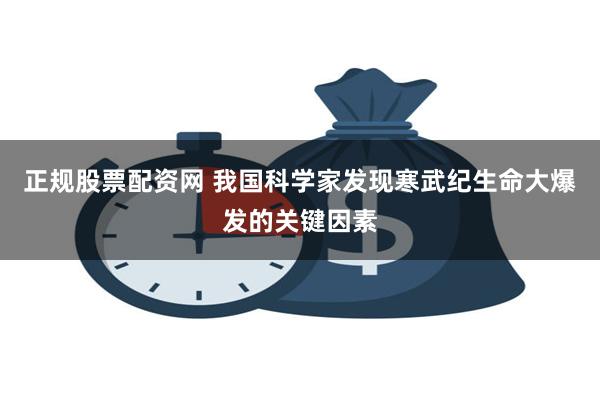 正规股票配资网 我国科学家发现寒武纪生命大爆发的关键因素