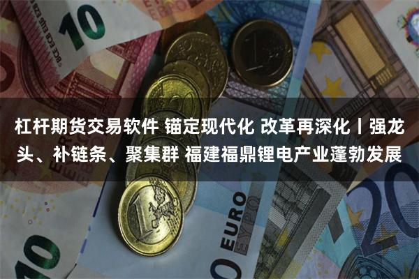 杠杆期货交易软件 锚定现代化 改革再深化丨强龙头、补链条、聚集群 福建福鼎锂电产业蓬勃发展