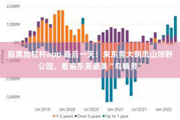 股票加杠杆app 最后一天！来东莞大朗凤山郊野公园，看遍东莞最美“鸟精灵”