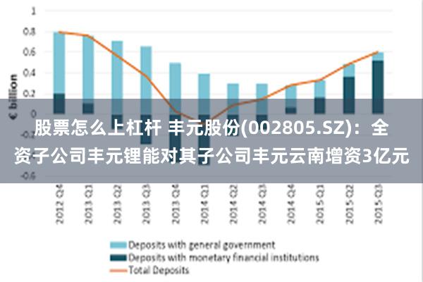 股票怎么上杠杆 丰元股份(002805.SZ)：全资子公司丰元锂能对其子公司丰元云南增资3亿元