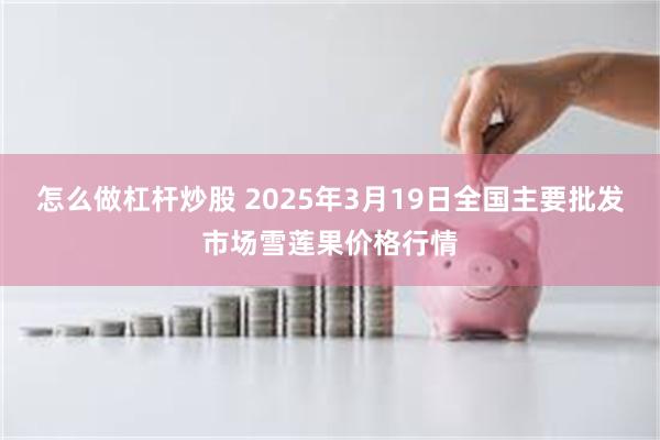 怎么做杠杆炒股 2025年3月19日全国主要批发市场雪莲果价格行情